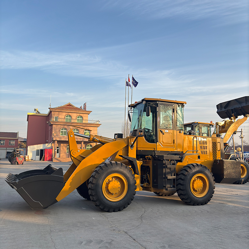30 Loader